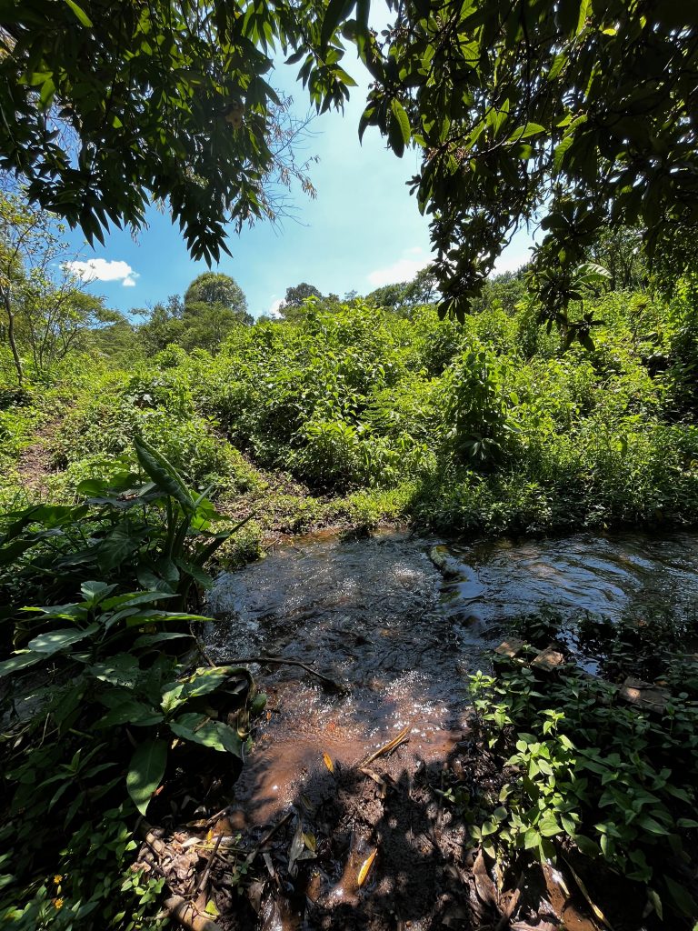 Terreno en venta Jalmolonga Malinalco-02
