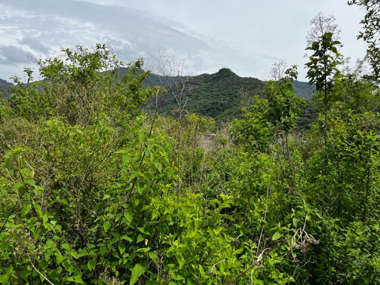 Terreno en venta Chalmita Malinalco-03
