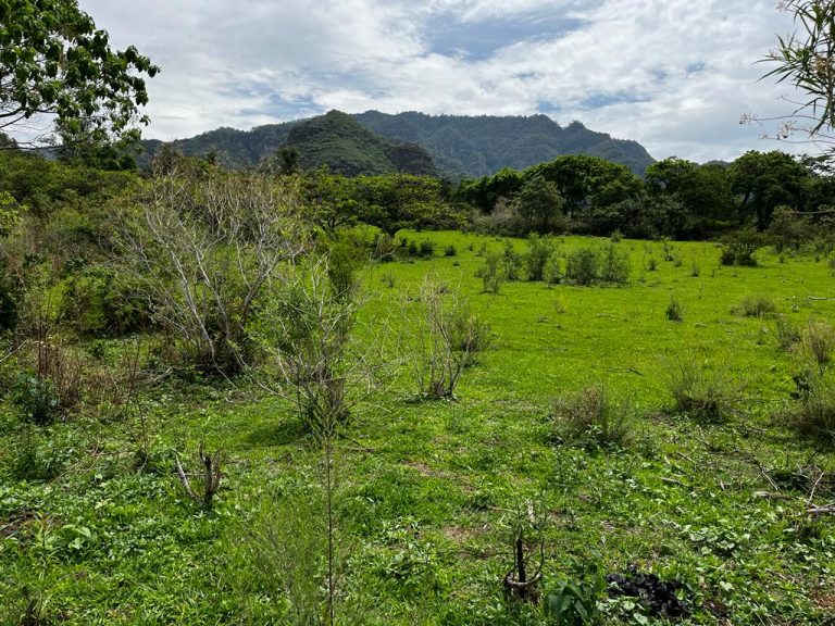 Terreno en venta Chalmita Malinalco-02
