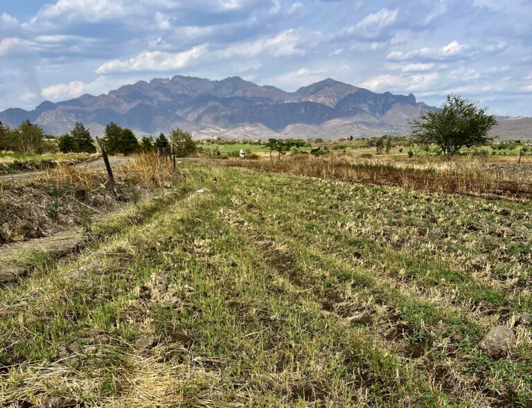 Terreno en venta Amate Amarillo Malinalco-01