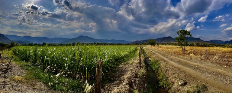 Terreno en venta Amate Amarillo Malinalco-03