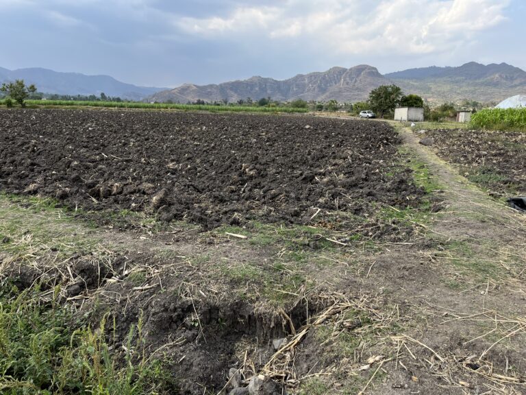 Terreno en venta Amate Amarillo Malinalco-06