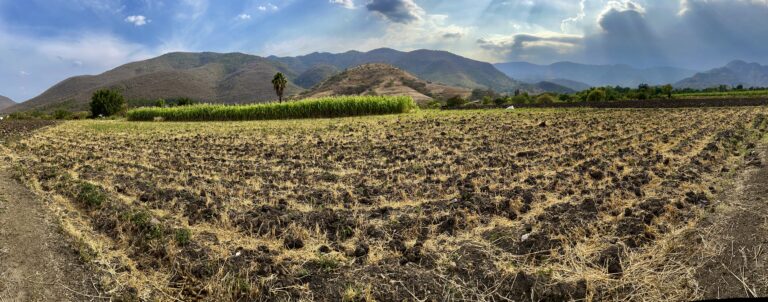 Terreno en venta Amate Amarillo Malinalco-04