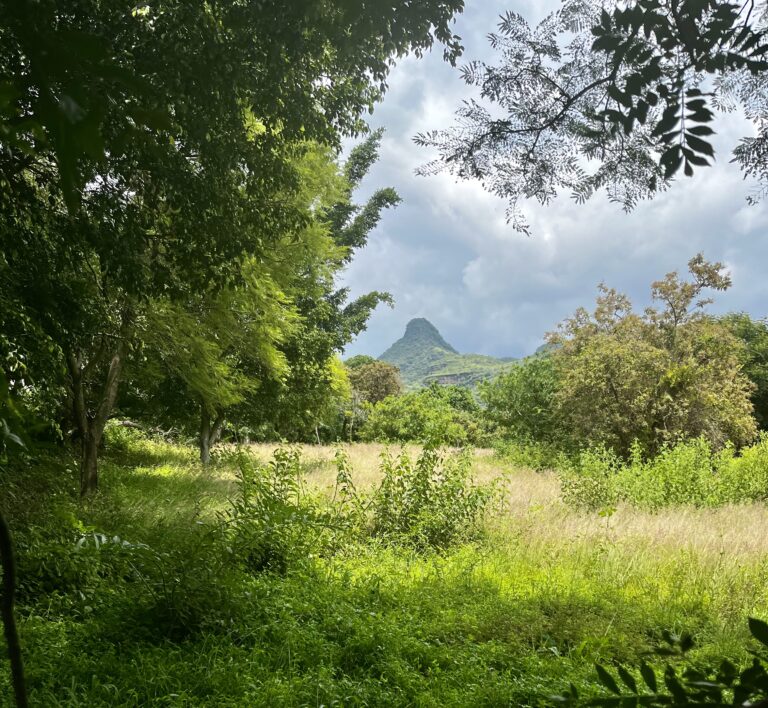 Terreno en venta Los diablitos Malinalco-05