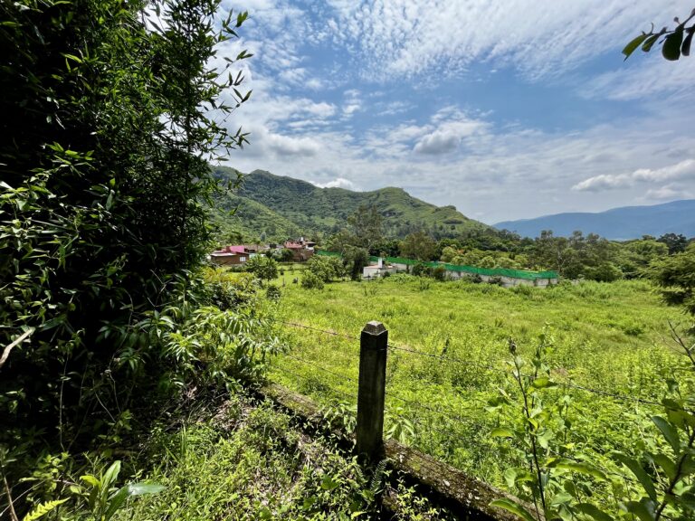 Terreno en venta Los diablitos Malinalco-04