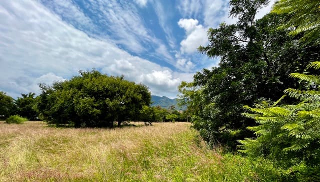 Terreno en venta Los diablitos Malinalco-03