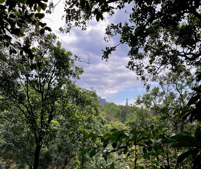 Terreno en venta Laguna Seca Malinalco-02