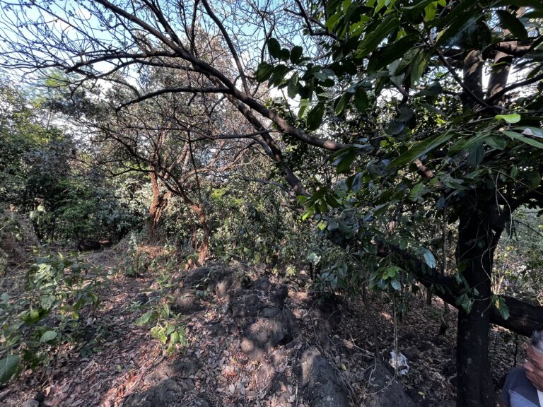 Terreno en venta en Acomulco Malinalco-03