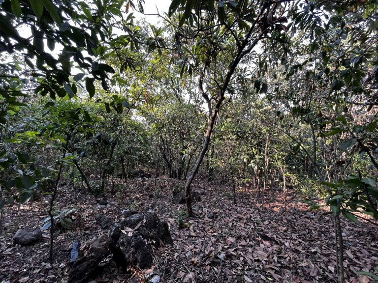 Terreno en venta en Acomulco Malinalco-02