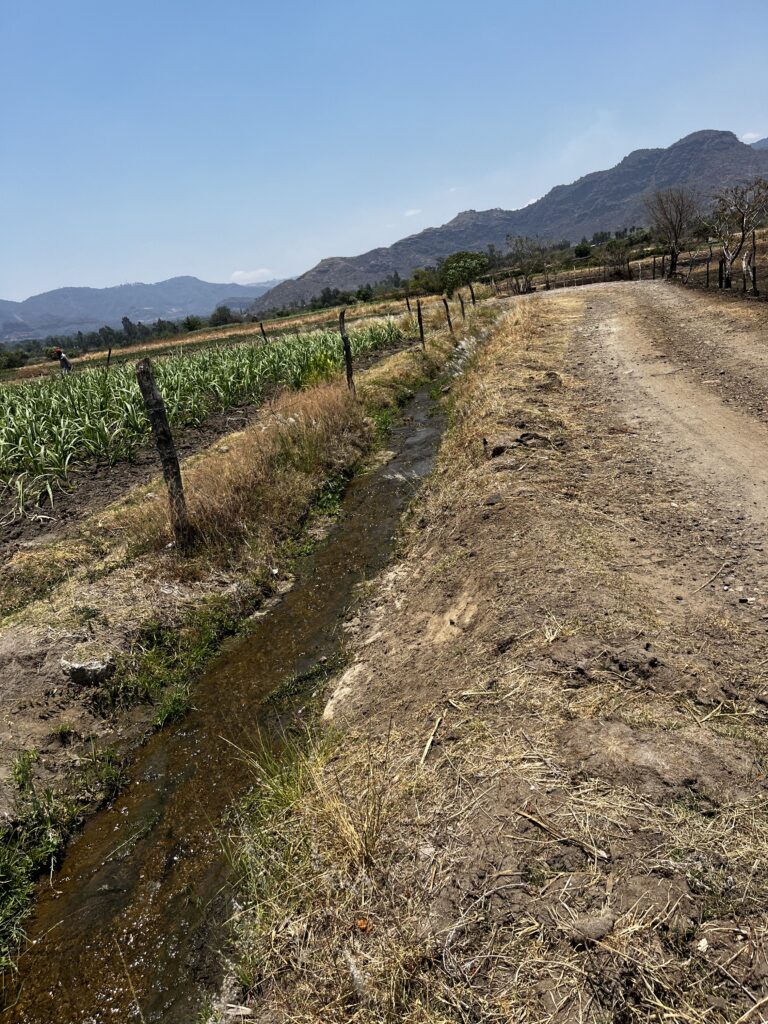 Terreno en venta Amate Amarillo Malinalco-05