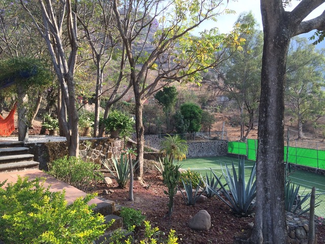 3A61B16F-D5E4-403A-B9AC-8B2D0284C17F_1_105_c-1