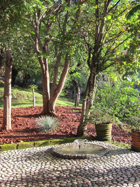 50732157-DE4B-4A4A-B063-9248EA3ED805_1_105_c