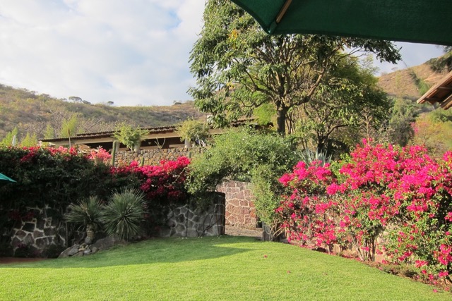 80A9A1B3-6912-4BF8-9B9B-C62D0F2A4C3D_1_105_c