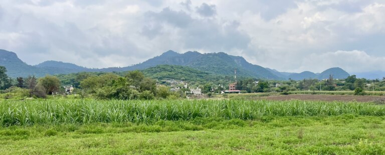 IMG_1650